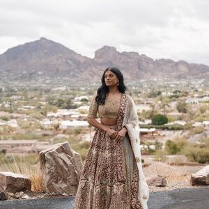 Elegant Cream and Brown Lehenga
